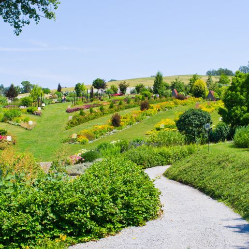 Arboretum Wojsławice