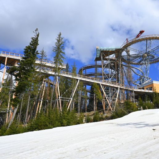 SkyWalk Serce Poronina
