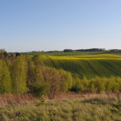 Wzgórza Trzebnickie