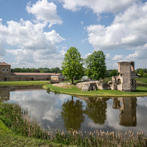 Zamek Ćmielów