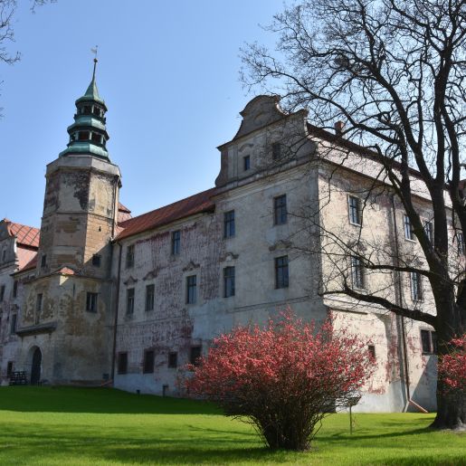 Zamek Książęcy w Niemodlinie